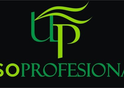USO-PROFESIONAL-400x284