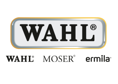 wahl1-400x284